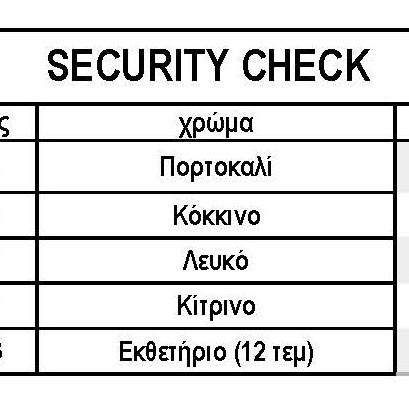 SECURITY CHECK