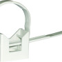 CT-ECLIP